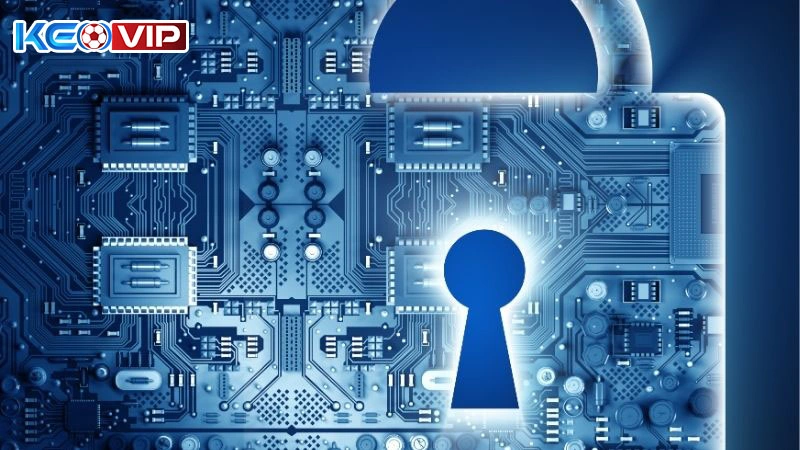 Đôi nét chính sách bảo mật của nền tảng