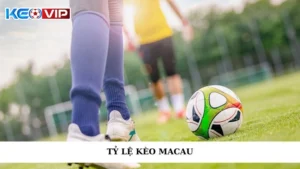 Tỷ Lệ Kèo Macau - Nâng Tầm Đặt Cược, Cơ Hội Thắng Lớn